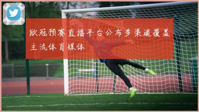 欧冠预赛直播平台公布多渠道覆盖主流体育媒体